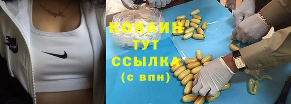 гидропоника Абаза